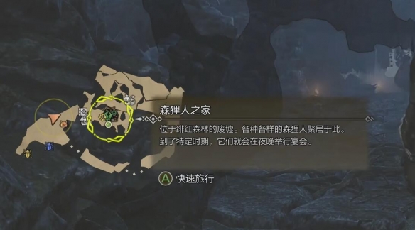 探秘森林之子阿根廷区：价格优惠与最新动态全解析